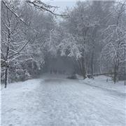 Mit mir ist es sehr einfach, Türkisch zu lernen!